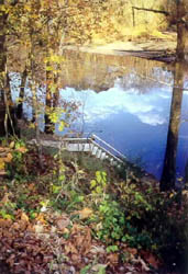 Caney Fork View