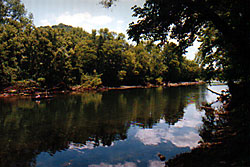 On the River's Edge